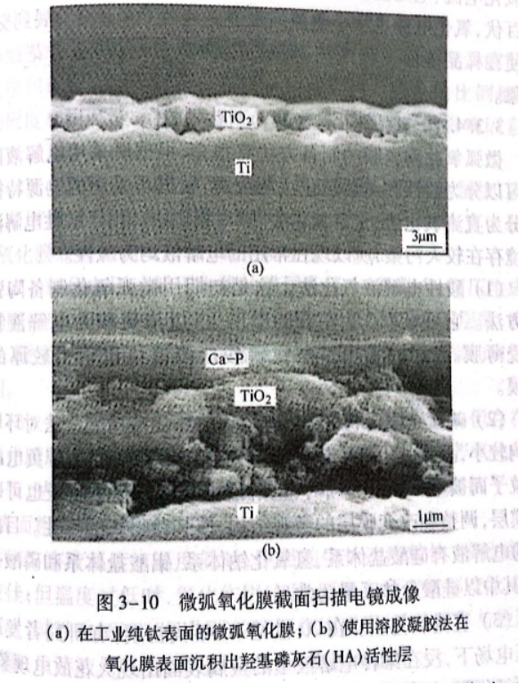 微弧氧化膜截面掃描電鏡成像
