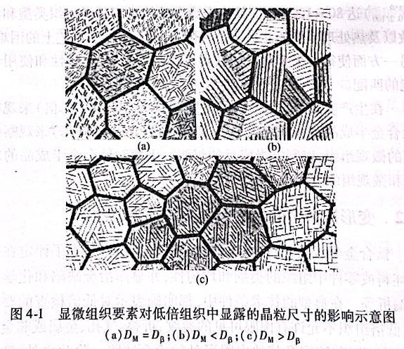 顯微組織要素對低倍組織中顯露的晶粒尺寸的影響示意圖