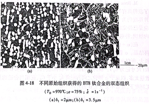 不同原始組織獲得的BT8鈦合金的雙態(tài)組織