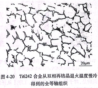 Ti6242合金從雙相再結(jié)晶退火溫度慢冷得到的全等軸組織