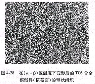 在（α+β）區(qū)溫度下變形后的TC6合金模鍛件（橫截面）的帶狀組織