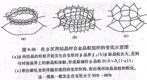 在β區再結晶時合金晶粒組織的變化示意圖