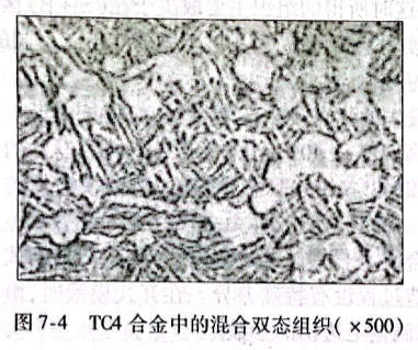 TC4合金中的混合雙態(tài)組織