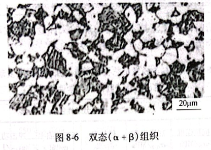 雙態（α+β）組織