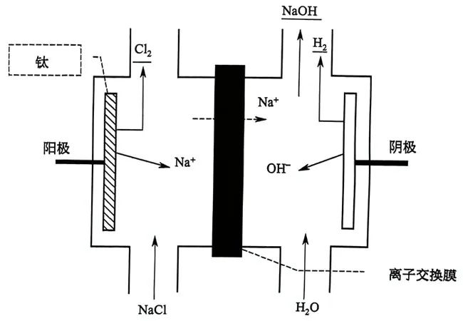 圖2-4離子膜電解槽原理圖