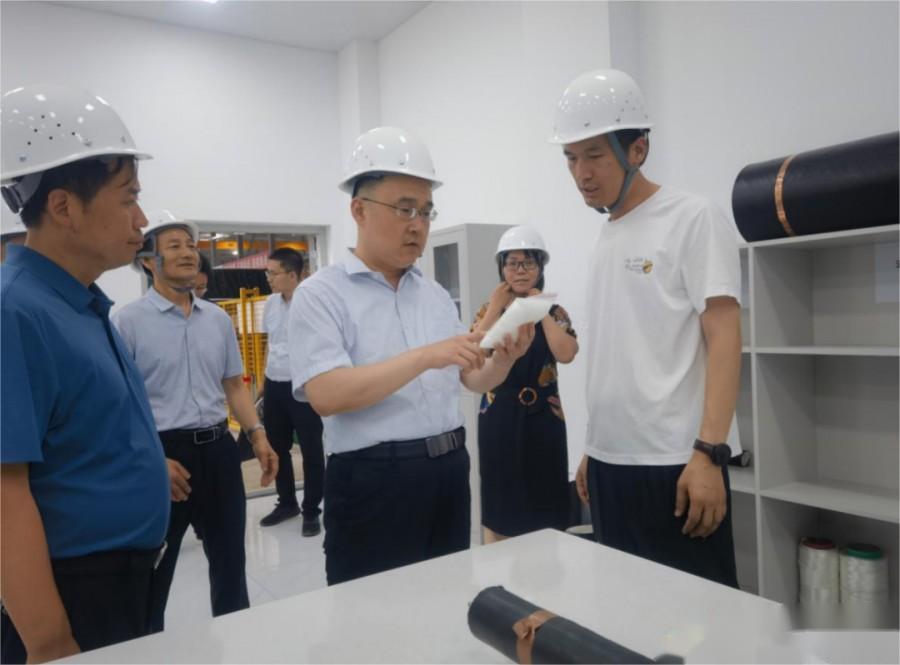 副市長張昭調(diào)研制造業(yè)單項冠軍和專精特新“小巨人”企業(yè)發(fā)展