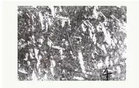 TC17鈦合金膜鍛件顯微組織