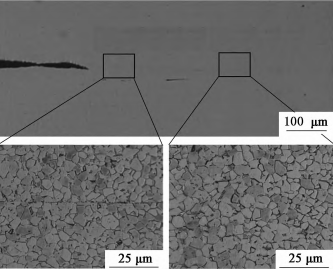 擴(kuò)散連接接頭金相圖